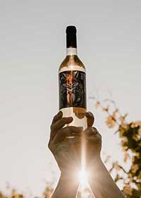 Goldmuskateller Fuchsetikett im Gegenlicht, Kundenfoto