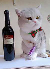 Kundenfoto Merlot feinherb