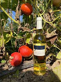 Weißburgunder trocken, Kundenfoto