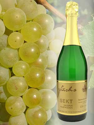Bacchus Sekt halbtrocken – Traube + Flasche