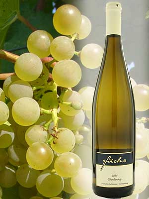 Weißwein Chardonnay trocken