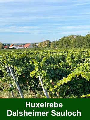 Verjus (Agrest) – 240 ml – Weinberge