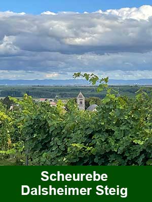 Scheurebe «S» süß, histamingeprüft – Weinberge