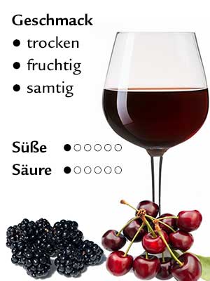 Dornfelder trocken – Geschmack