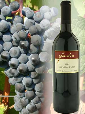 Dornfelder trocken, histamingeprüft – Traube + Flasche