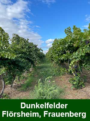 Dunkelfelder süß – Weinberge