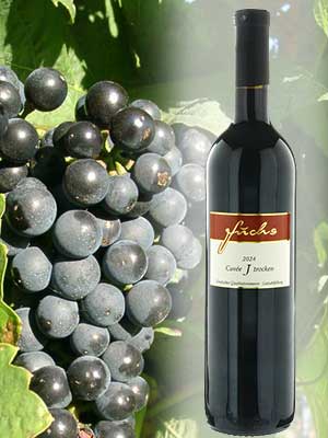 Die Rotwein-Rebsorte Cabernet Dorsa ist Bestandteil der Cuvée J