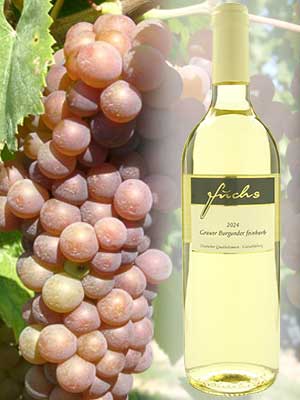 Grauburgunder feinherb Weißwein