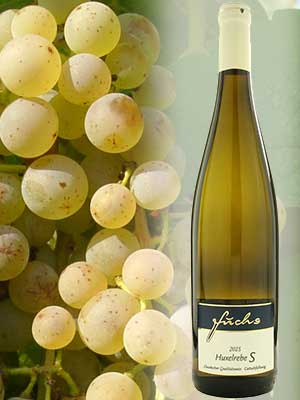 Huxelrebe «S» süß – Traube + Flasche