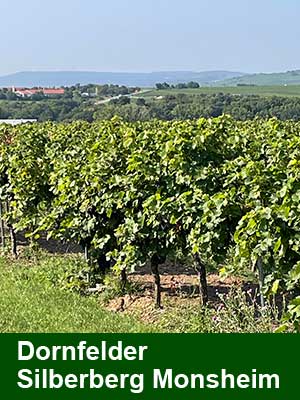 Dornfelder Rosé lieblich, histamingeprüft – Weinberge