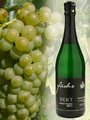 Pinot Blanc Sekt brut – Traube + Flasche