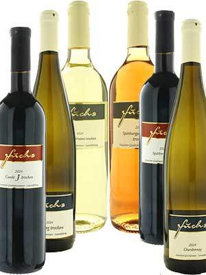 Wein-Geschenk- und Probierpaket “Trockene Weine” – Traube + Flasche