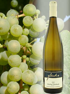 Riesling «S» feinherb, histamingeprüft – Traube + Flasche