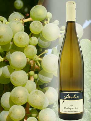 Klassischer Riesling-Weißwein