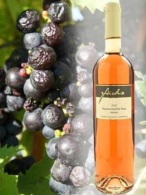 Rosen­­muskateller Rosé trocken – Traube + Flasche