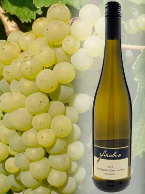 alkoholfreier Sauvignon Blanc Weißwein