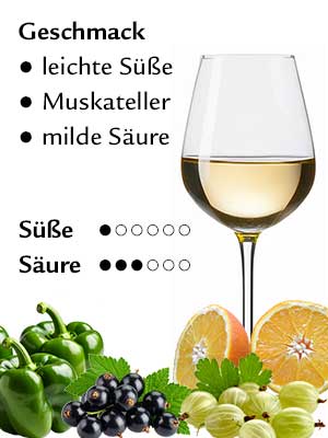 Sauvignon Blanc Off-Dry – Geschmack
