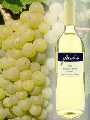 Weißwein Sauvignon Blanc feinherb im Weingut Fuchs