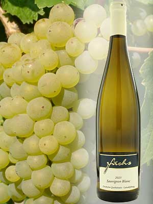 Klassischer Sauvignon Blanc-Weißwein