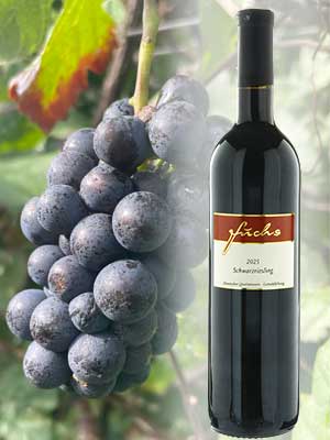 Schwarzriesling feinherb – Traube + Flasche