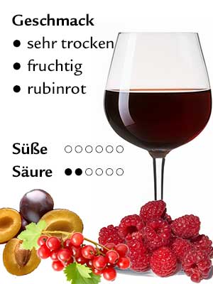Schwarzriesling trocken – Geschmack