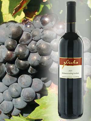 Klassischer trockener Schwarzriesling