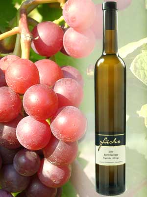 Siegerrebe + Ortega Beerenauslese