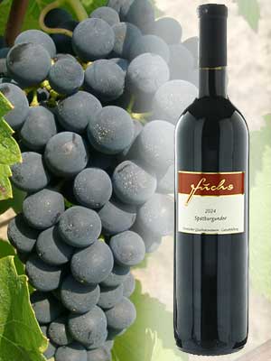 Spätburgunder süß, histamingeprüft – Traube + Flasche