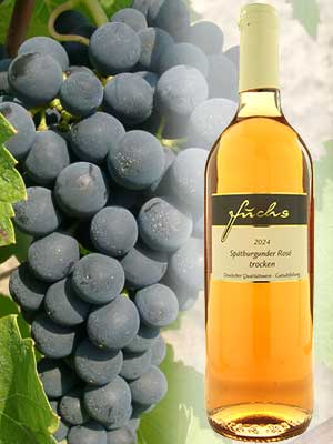 Klassischer Spätburgunder-Roséwein