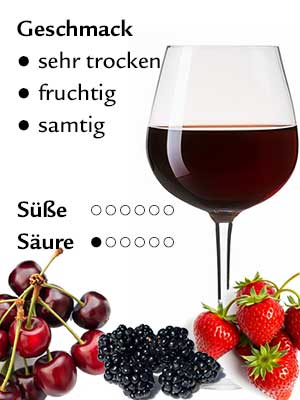 Spätburgunder trocken – Geschmack