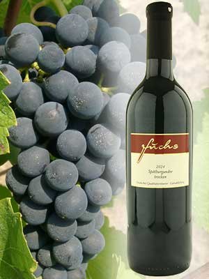 Trockener Spätburgunder-Rotwein