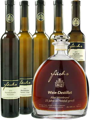 Wein-Geschenk- und Probierpaket “Exklusiv” – Traube + Flasche