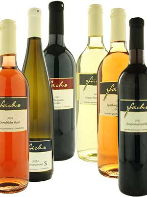 Wein-Geschenk- und Probierpaket “Für jeden etwas” – Traube + Flasche