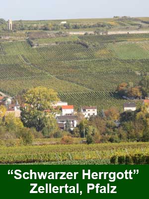 Rosen­muskateller süß – Weinberge