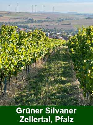 Green Silvaner Dry, Histamine-Certified – Weinberge